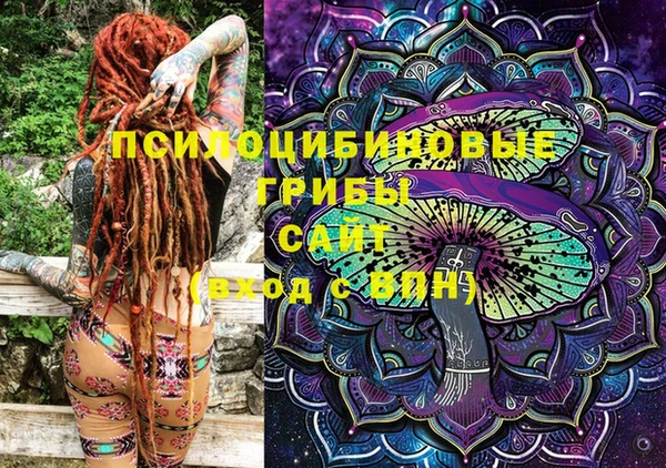 стаф Волосово
