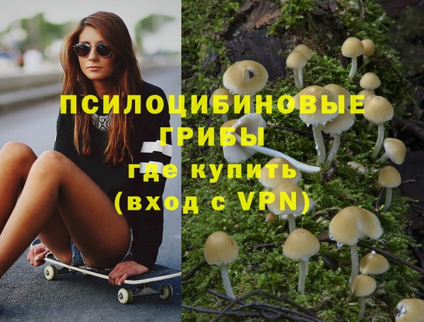стаф Волосово