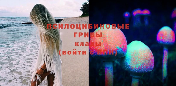 стаф Волосово