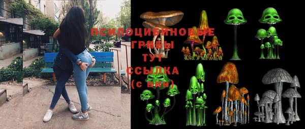 стаф Волосово